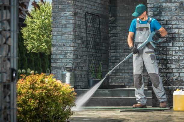 Best Soft Washing for Delicate Surfaces in Crosby, MN